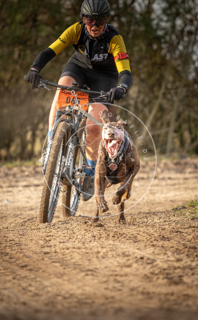 Pfotenfotografie_DV3A7241 | Hundefotografie, Tierfotograf, Pfotenfotografie, Fotoshooting Hund, Hunde Portrait, Hundesport, Hundeportraits, Heideshooting, Hunde, Sportfotograf, Hundefotograf, Turnierhundsport, THS,  - Realisiert mit Pictrs.com
