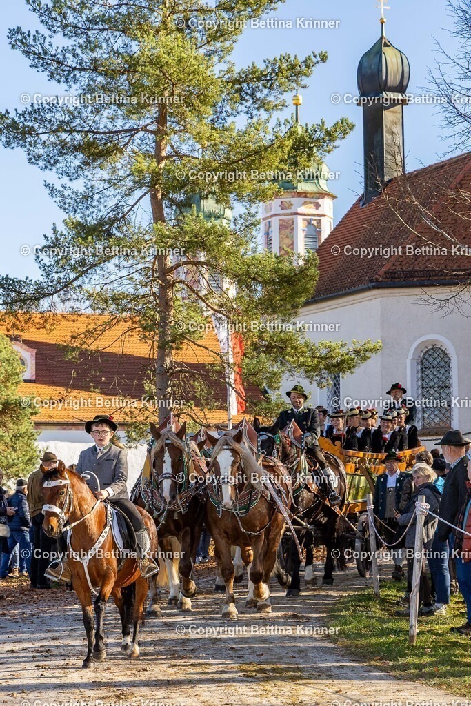 LBT25-1384 | foto-bettina-krinner - Realisiert mit Pictrs.com