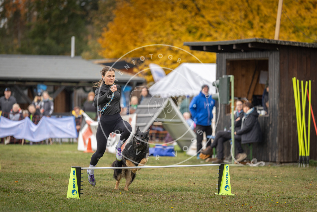 Pfotenfotografie_DV3A7435 | Hundefotografie, Tierfotograf, Pfotenfotografie, Fotoshooting Hund, Hunde Portrait, Hundesport, Hundeportraits, Heideshooting, Hunde, Sportfotograf, Hundefotograf, Turnierhundsport, THS,  - Realisiert mit Pictrs.com