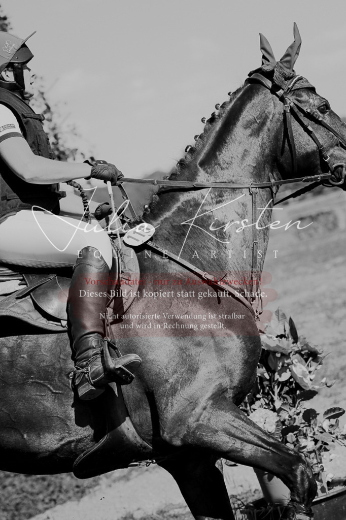 DSC_8553 | Pferde- und Turnierfotografie in Westsachsen. Pferdeportraits, Auftragszeichnungen und intuitive Kunst.