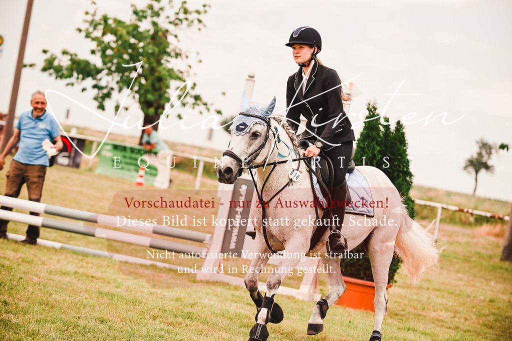 DSC_6996 | Pferde- und Turnierfotografie in Westsachsen. Pferdeportraits, Auftragszeichnungen und intuitive Kunst.