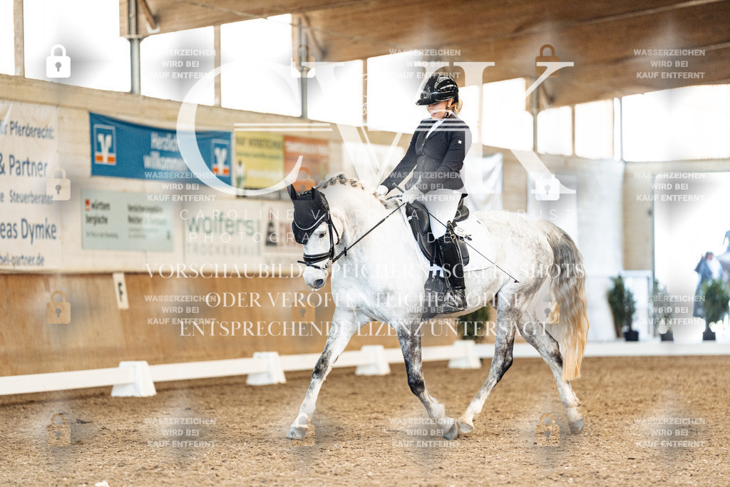 CK909688 | Turnierfotografie Pferdefotografie Trier Rheinland-Pfalz Pferdesport Reitsport Tierfotografie Sportfotografie Pferdevideo Pferdevideografie Equestrianvideography equestrianphotography  - Realisiert mit Pictrs.com