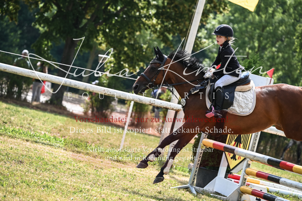 DSC_8524 | Pferde- und Turnierfotografie in Westsachsen. Pferdeportraits, Auftragszeichnungen und intuitive Kunst.