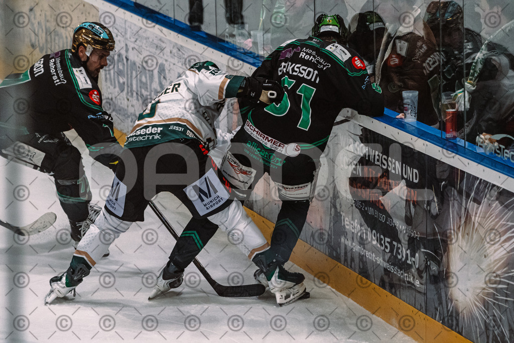 Alligators_vs_Erding_01_02_2026-15 | Höchstadt Alligators Fotogalerie: Eishockey-Action aus Franken. Professionelle Spielfotos, Portraits & Stadionbilder zum Download. Jetzt entdecken! - Realisiert mit Pictrs.com