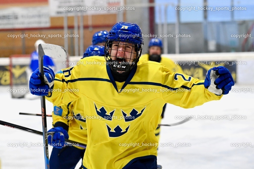 BST_4233 | hockey sports photos, Pressefotos, Sportfotos, hockey247, win 2day icehockeyleague, Handball Austria, Floorball Austria, ÖVV, Kärntner Eishockeyverband, KEHV, KFV, Kärntner Fussballverband, Österreichischer Volleyballverband, Alps Hockey League, ÖFB, 