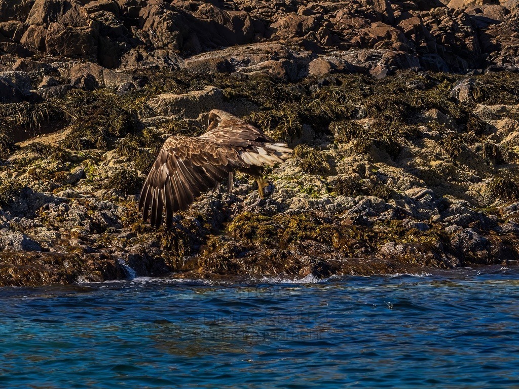 P1001639-LR-topaz-denoise-enhance | Natur im Moment - Realisiert mit Pictrs.com