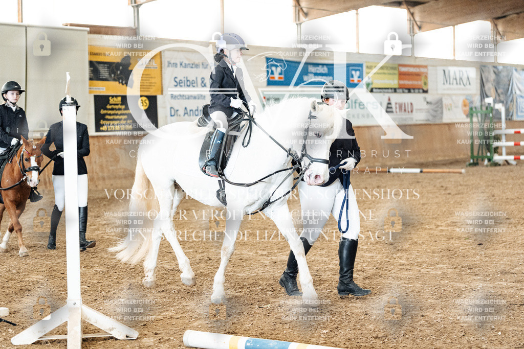 CK905568 | Turnierfotografie Pferdefotografie Trier Rheinland-Pfalz Pferdesport Reitsport Tierfotografie Sportfotografie Pferdevideo Pferdevideografie Equestrianvideography equestrianphotography  - Realized with Pictrs.com