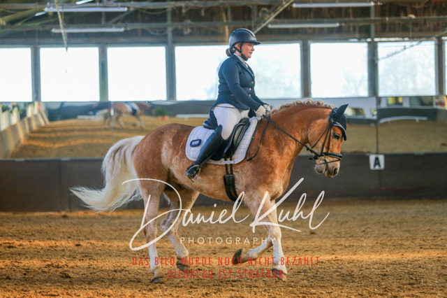 IMG_3245 | Turniersportfotografie; Pferdefotografie; Dressurfotografie