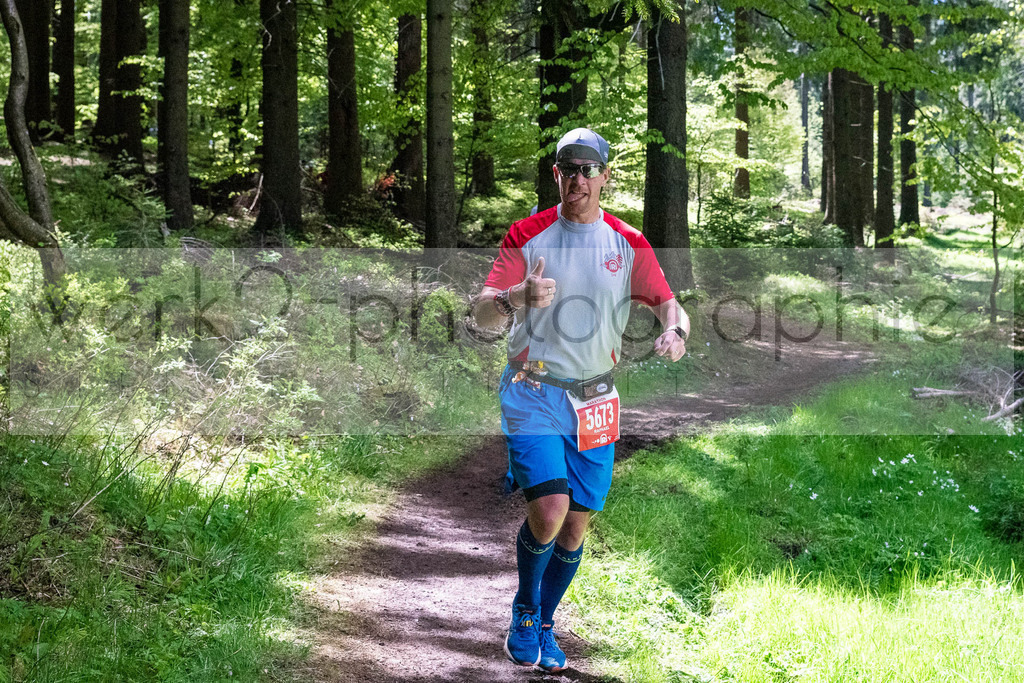 Rennsteiglauf 2019 | Marathon Neuhaus/Rwg. - Schmiedefeld am 18. Mai 2019