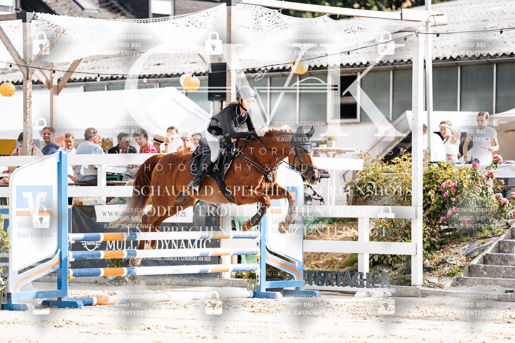 CK909039 | Turnierfotografie Pferdefotografie Trier Rheinland-Pfalz Pferdesport Reitsport Tierfotografie Sportfotografie Pferdevideo Pferdevideografie Equestrianvideography equestrianphotography  - Realisiert mit Pictrs.com