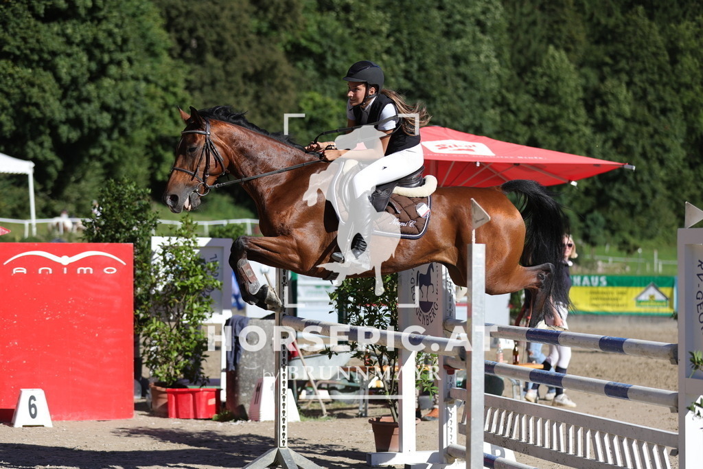 0P6A7307 | Willkommen bei Brunnmayr - Design & Fotografie – Ihrem Spezialisten für Reitturniere und Pferdeveranstaltungen in Oberösterreich, Salzburg und Bayern! Seit über 17 Jahren sind wir leidenschaftlich dabei.