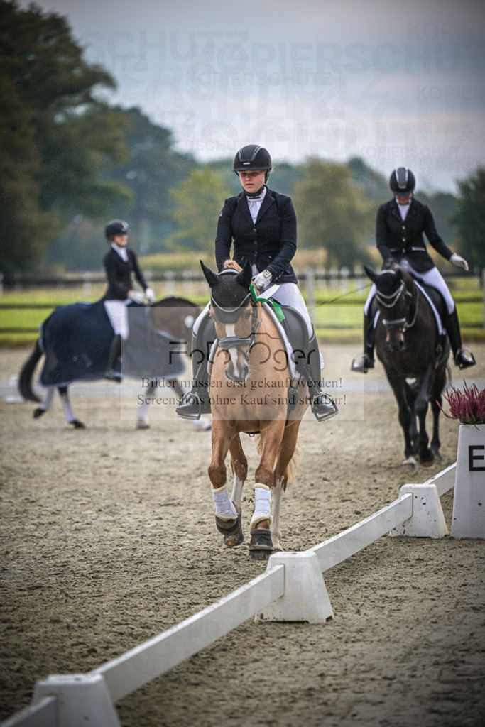 DOS_B318 | Entdecke hochwertige Reitturnierfotos von Foto Oger. Professionell, emotional und authentisch – jetzt Lieblingsmomente im Shop bestellen.Deutschlandweite Turnierfotografie. - Realisiert mit Pictrs.com