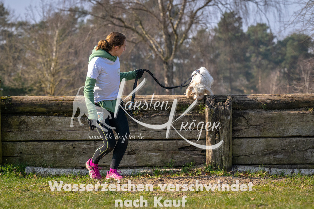 _ZZ93687 | kk-dogfotos