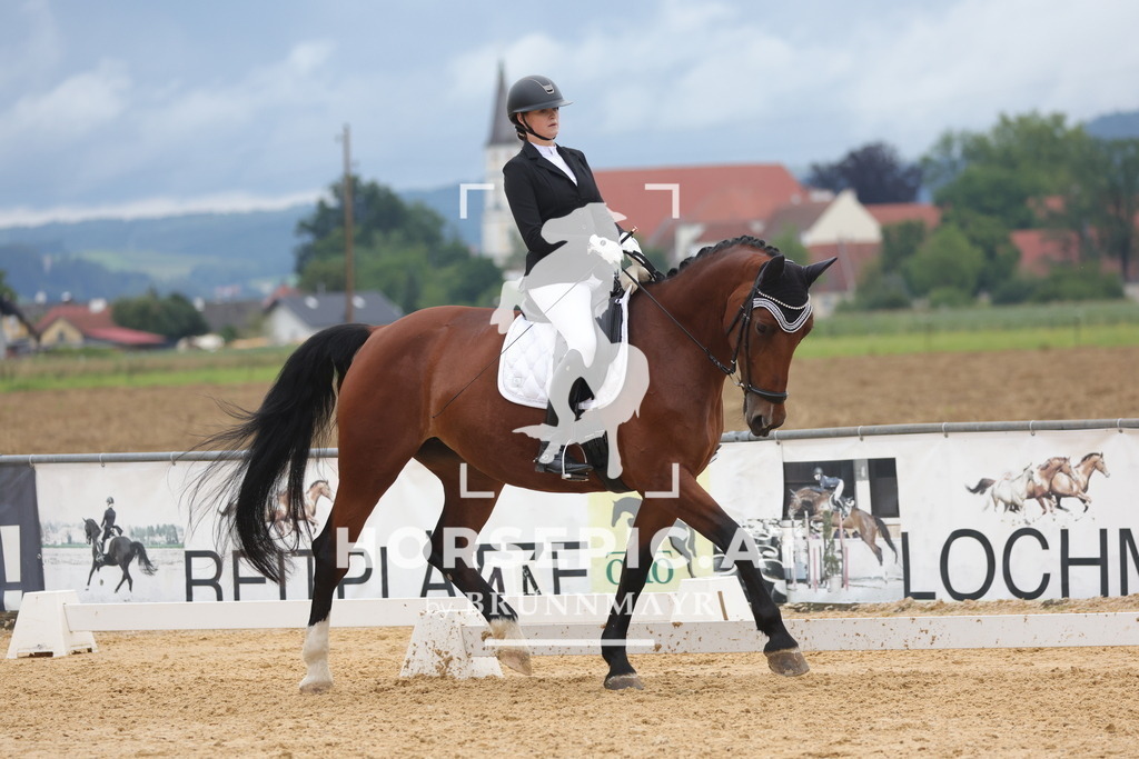 0P6A1392 | Willkommen bei Brunnmayr - Design & Fotografie – Ihrem Spezialisten für Reitturniere und Pferdeveranstaltungen in Oberösterreich, Salzburg und Bayern! Seit über 17 Jahren sind wir leidenschaftlich dabei.