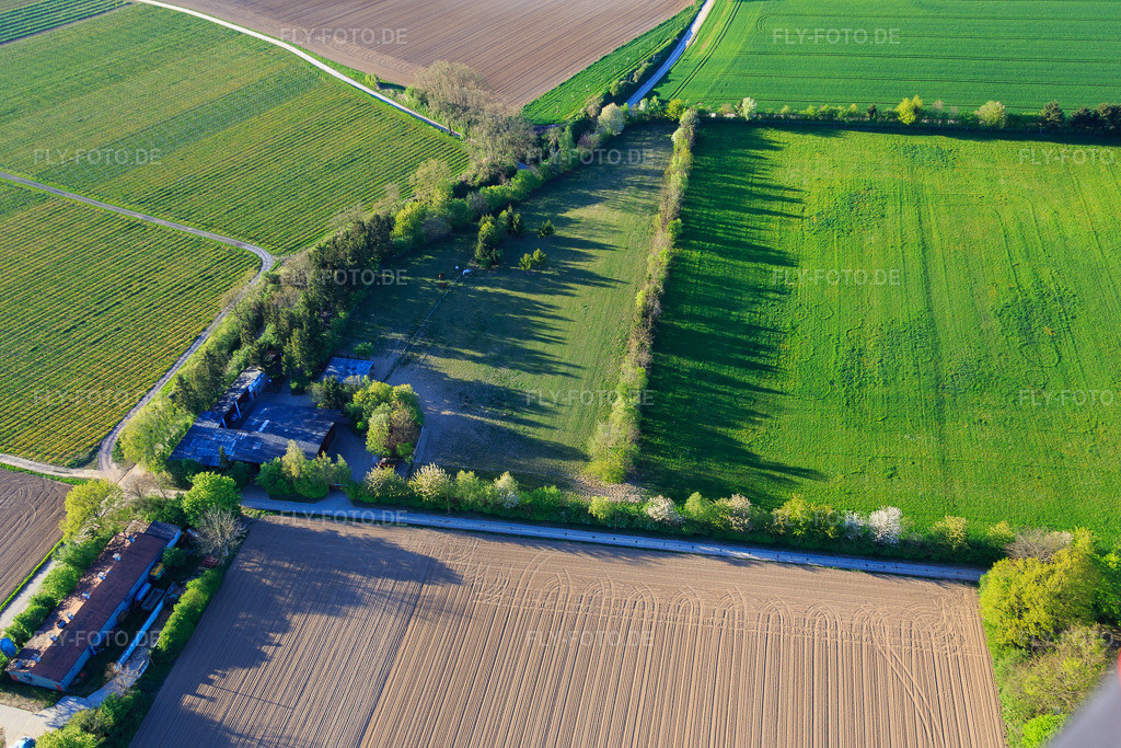 Luftbild: Koppel von Trakehner-Friedrich in Minfeld im Bundesland Rheinland-Pfalz in Deutschland. Foto: IMG_077351.jpg vom 21.04.2015 durch Werner Riehm/FLY-FOTO.de
