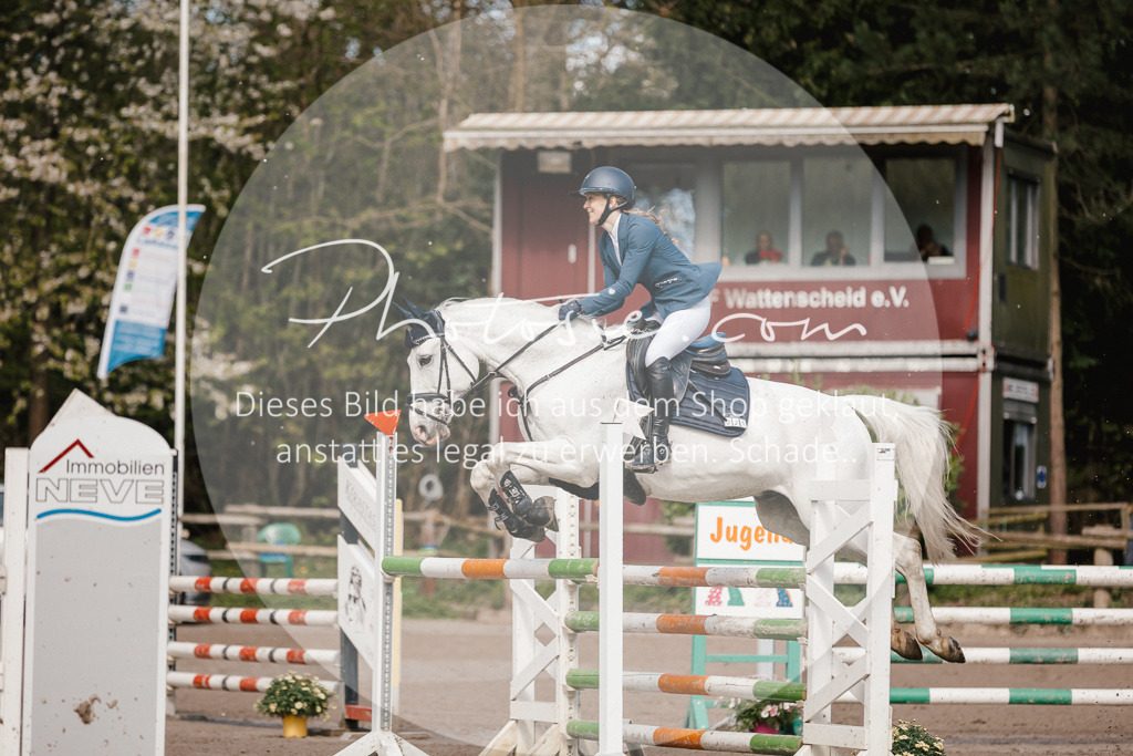 3I6A3999 | Stimmungsvolle Portraits und Reitsportfotografie im Ruhrgebiet und im Münsterland.

Pferdefotografie, Hundefotografie, Tierfotografie, Reportagen, Portraits von Tier und Mensch, Turnierfotografie in Bochum, Recklinghausen, Marl, Haltern am See, Dülmen.. - Realisiert mit Pictrs.com