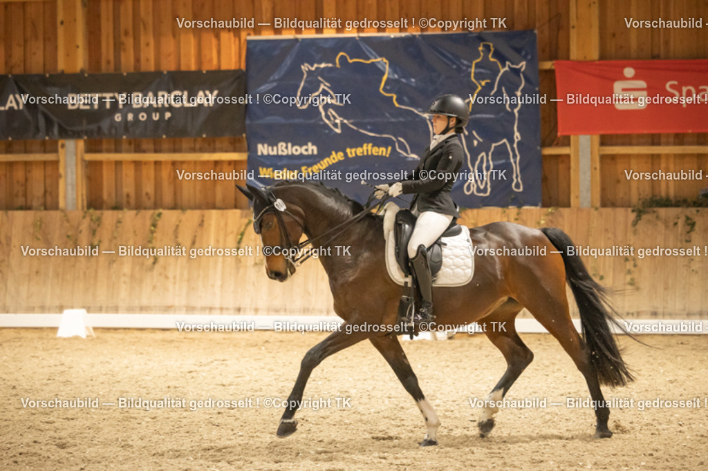 _D5A3909 | Emotionale Pferde- & People-Fotografie rund um Heidelberg, Leimen & Umgebung. Natürliche Fotos von Pferd, Mensch & Familie. Jetzt Termin sichern!