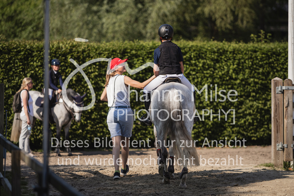 250501_MünsterHandorf_A1-Stil-120 | Deine schönsten Turniermomente als professionelle Fotos! Entdecke hochwertige Pferdesport-Fotografie im Online-Shop. Jetzt Fotos finden & bestellen!