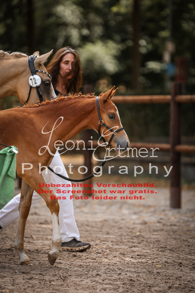 8.So00091 | Leoni Ertmer Photography - Realisiert mit Pictrs.com