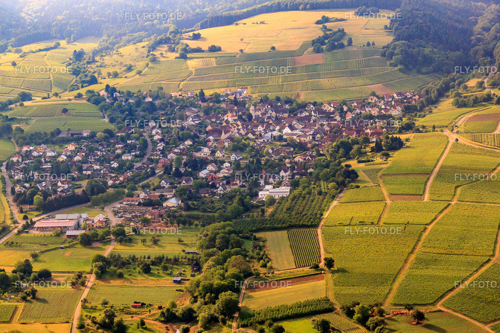 Dorfansicht aus Nordwesten | Luftbild: Dorfansicht aus Nordwesten im Ortsteil Britzingen in Müllheim im Bundesland Baden-Württemberg in Deutschland. Foto: IMG_68279.jpg vom 19.06.2014 durch Werner Riehm/FLY-FOTO.de - Realisiert mit Pictrs.com
