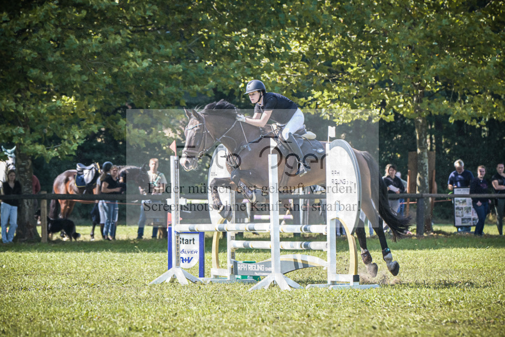 DOS_0909 | Entdecke hochwertige Reitturnierfotos von Foto Oger. Professionell, emotional und authentisch – jetzt Lieblingsmomente im Shop bestellen.Deutschlandweite Turnierfotografie. - Realisiert mit Pictrs.com