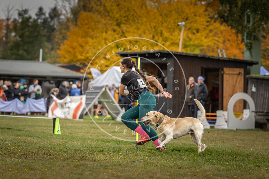 Pfotenfotografie_DV3A3134 | Hundefotografie, Tierfotograf, Pfotenfotografie, Fotoshooting Hund, Hunde Portrait, Hundesport, Hundeportraits, Heideshooting, Hunde, Sportfotograf, Hundefotograf, Turnierhundsport, THS,  - Realisiert mit Pictrs.com