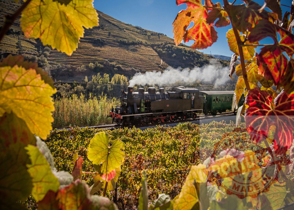 Douro Valley steam train traveling through autumn vineyards. Portugal - Norte | Steam locomotive moving through colorful vineyard landscape in Douro Valley, Portugal - Realisiert mit Pictrs.com