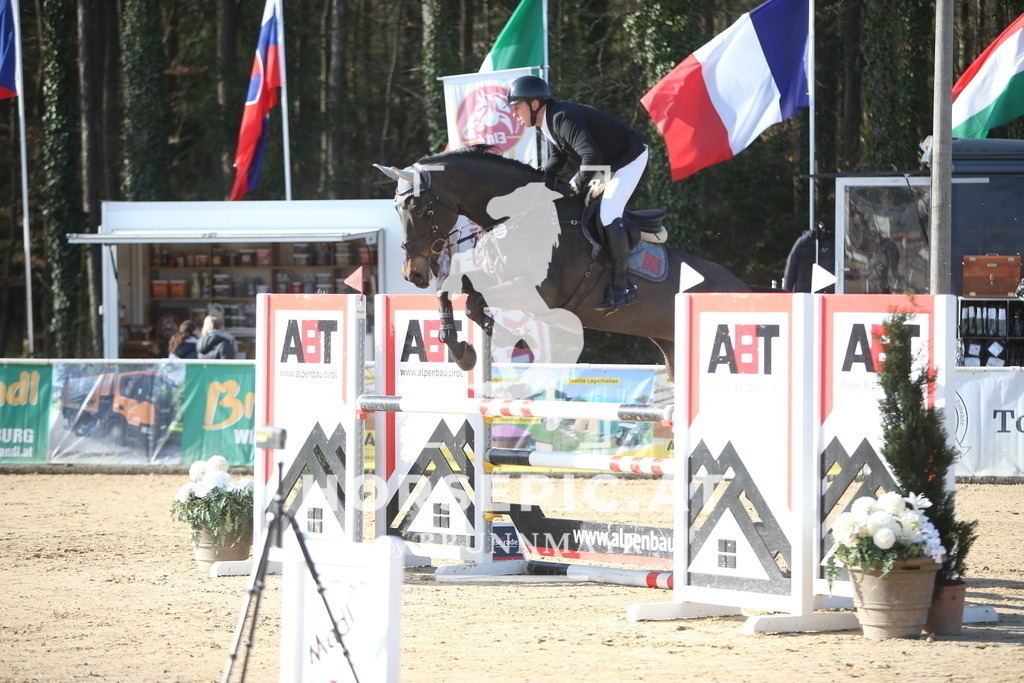 AS8V4995 | Willkommen bei Brunnmayr - Design & Fotografie – Ihrem Spezialisten für Reitturniere und Pferdeveranstaltungen in Oberösterreich, Salzburg und Bayern! Seit über 17 Jahren sind wir leidenschaftlich dabei.