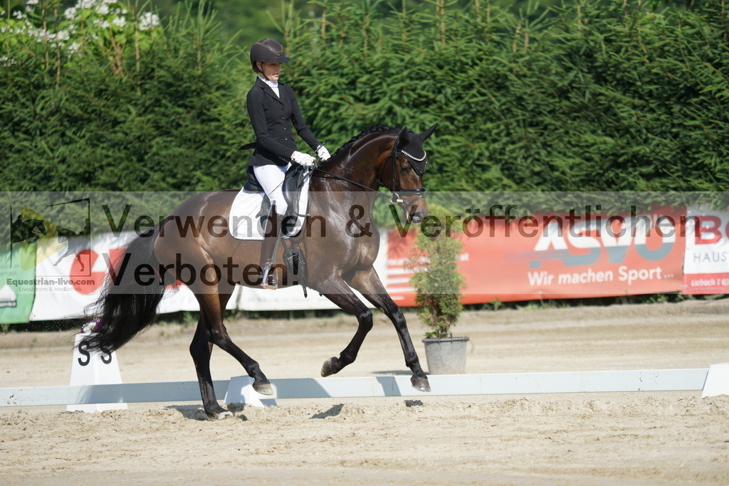 DSC01389 | equestrian-live-com