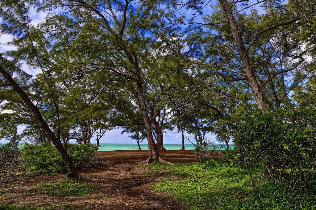 1H5A1404 | ansichtssache