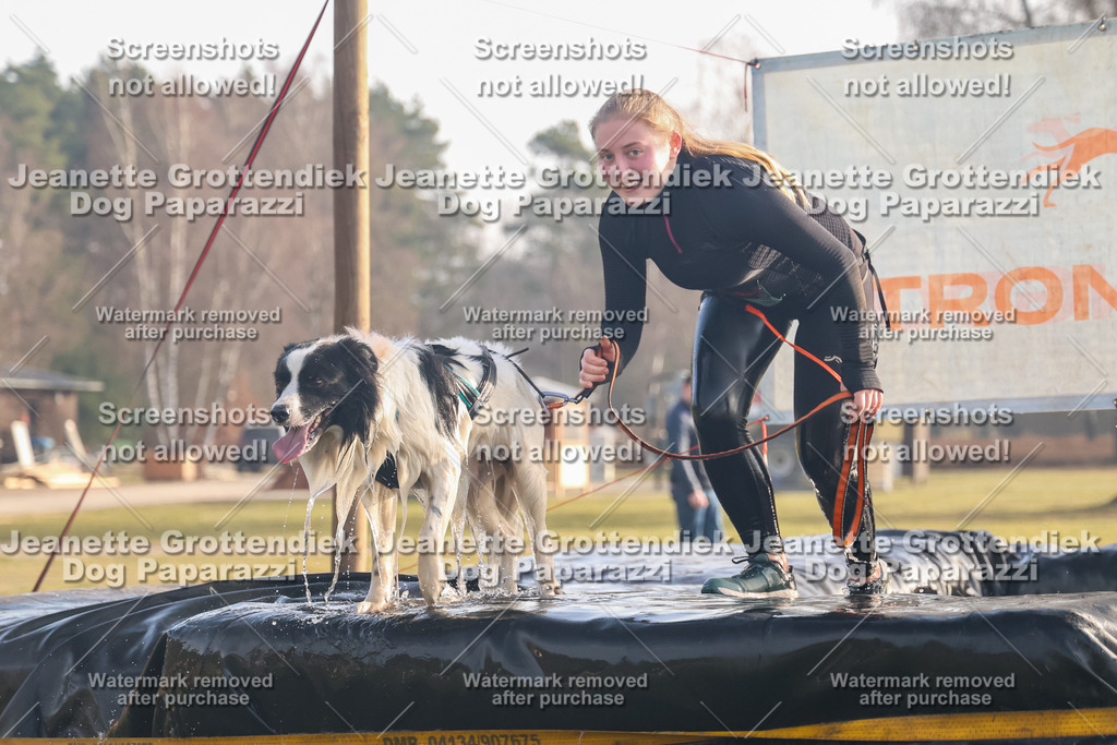 Dog Paparazzi - SD North 0326 900930-144 | Dog Paparazzi Jeanette Grottendiek Fotografie & Videografie - Realisiert mit Pictrs.com