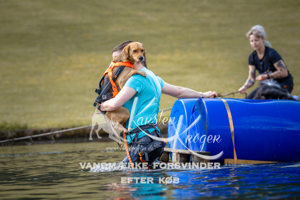 0835_ZZ99594 | kk-dogfotos
