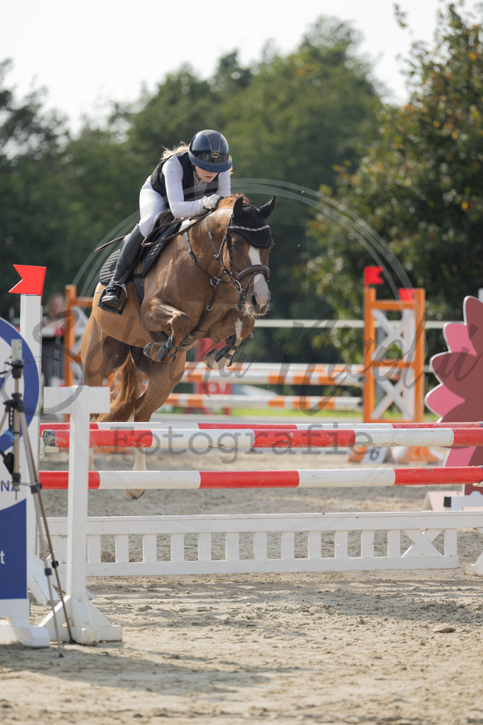 994A2024 | sabrinanicolaifotografie - Realisiert mit Pictrs.com