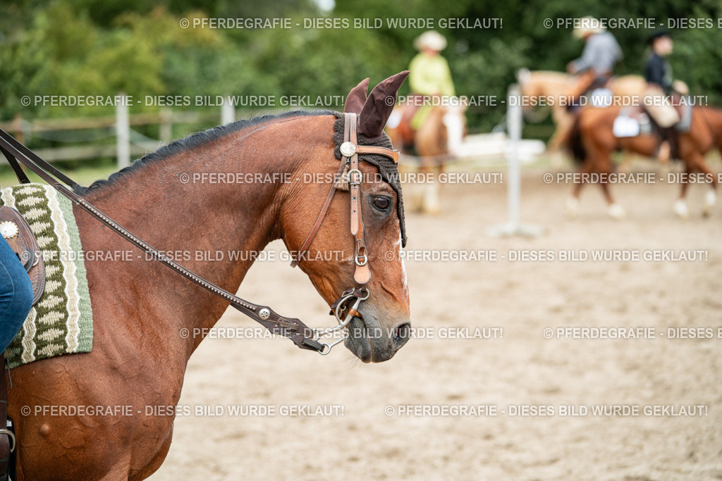 DSC02441 | Pferdegrafie