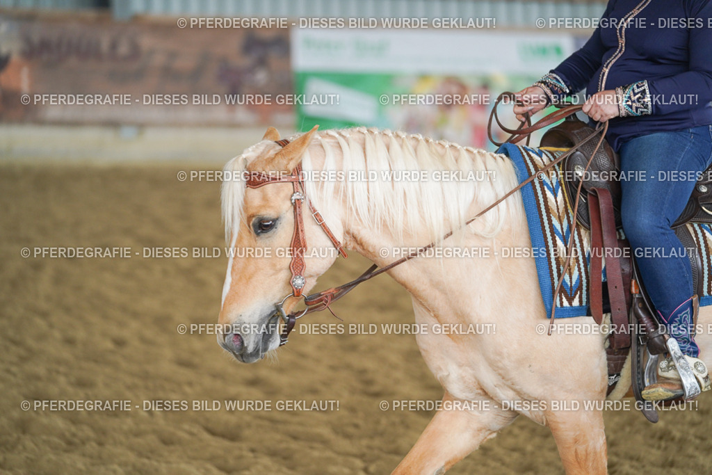 DSC06365 | Pferdegrafie