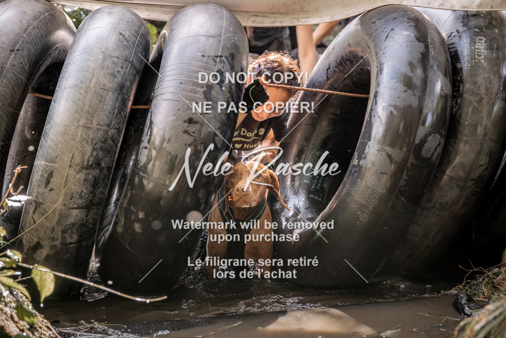 nelerasche_Hunsrück2026_Sa1400-1500_376 | nelerasche