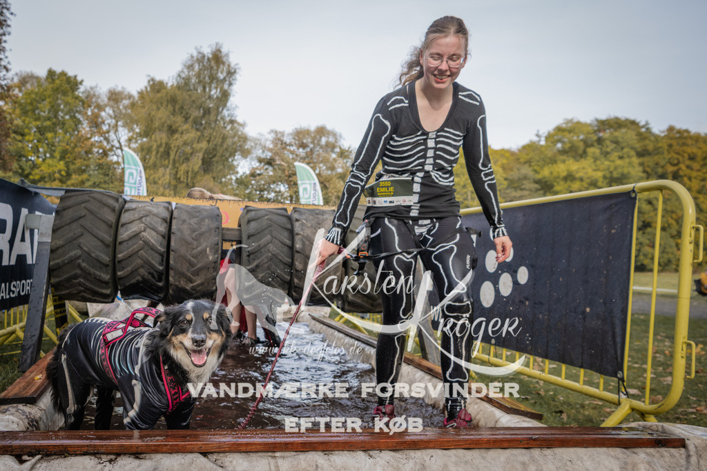 1451_ZZ90493 | kk-dogfotos