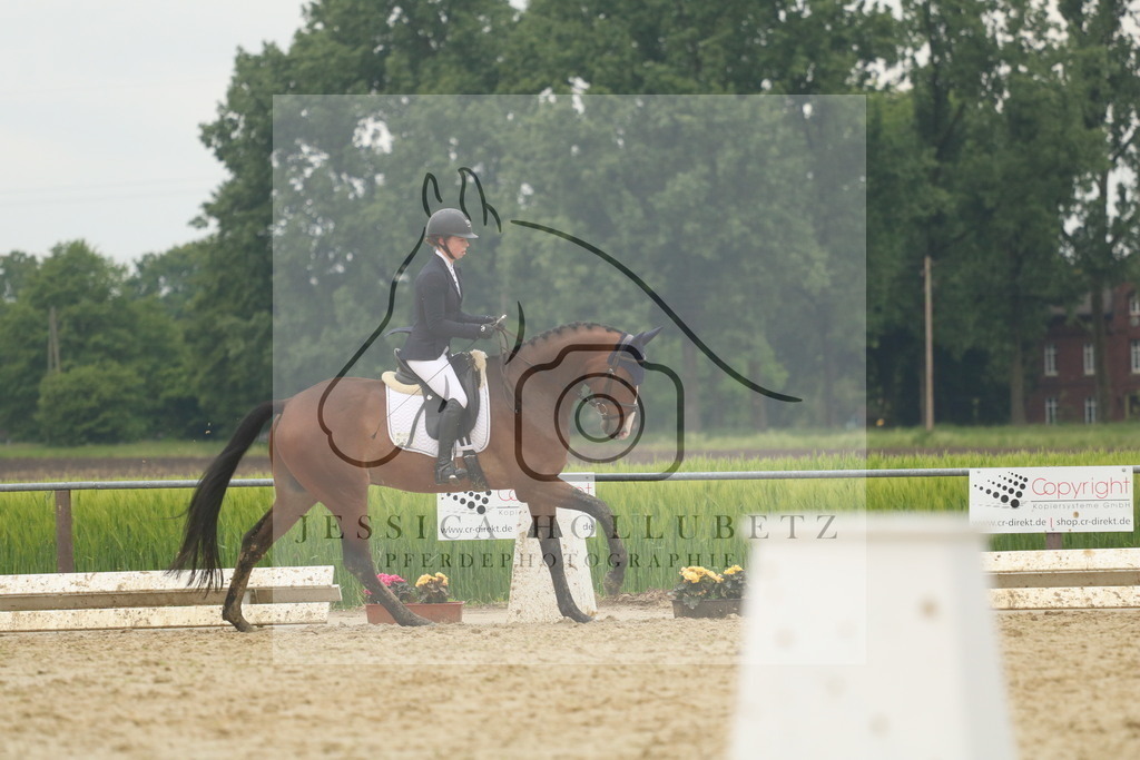 IMG_7416 | jessicahollubetz_pferdephotographie - Realisiert mit Pictrs.com