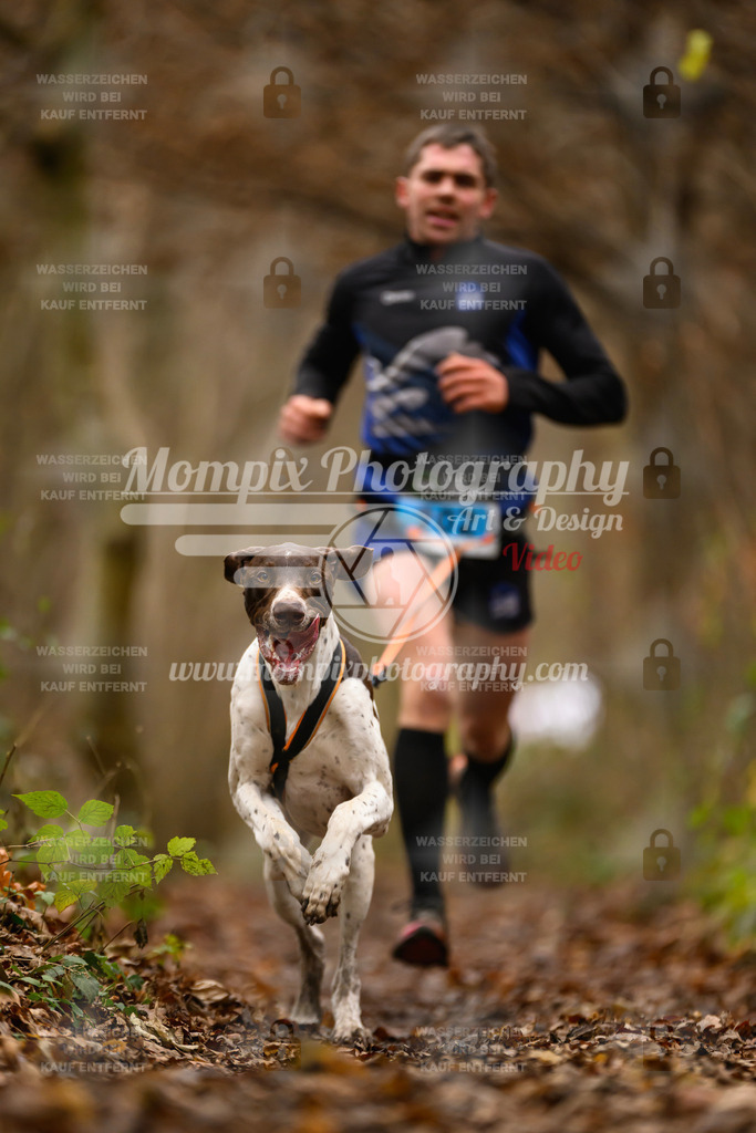 MompixPhotography_Eschau2024_CCC-3 | PayLife