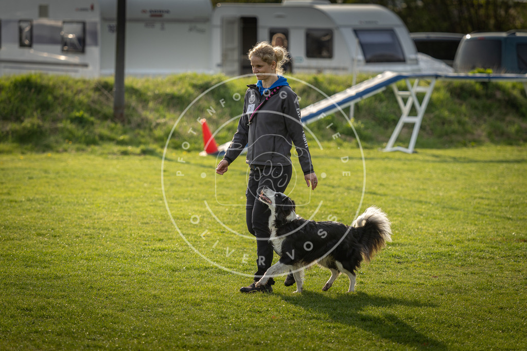 Pfotenfotografie_DV3A4749 | Hundefotografie, Tierfotograf, Pfotenfotografie, Fotoshooting Hund, Hunde Portrait, Hundesport, Hundeportraits, Heideshooting, Hunde, Sportfotograf, Hundefotograf, Turnierhundsport, THS,  - Realisiert mit Pictrs.com