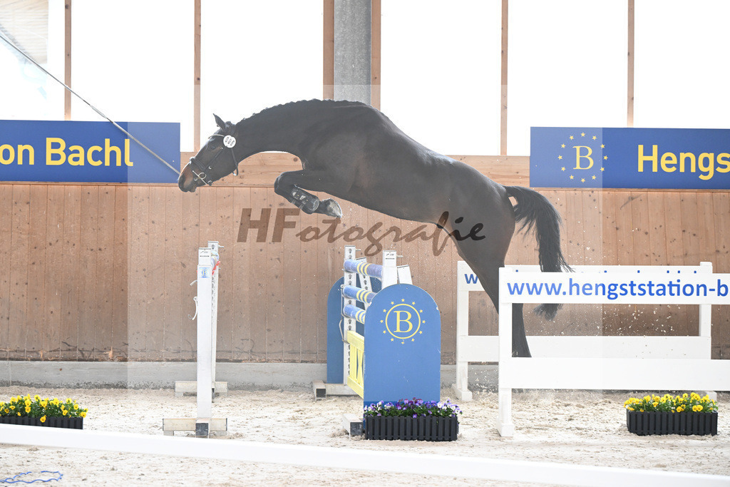 Kat-Nr. 6 Aristomacho v. Kros_Schneider_5250218 | hf-fotografie - Realizzato con Pictrs.com