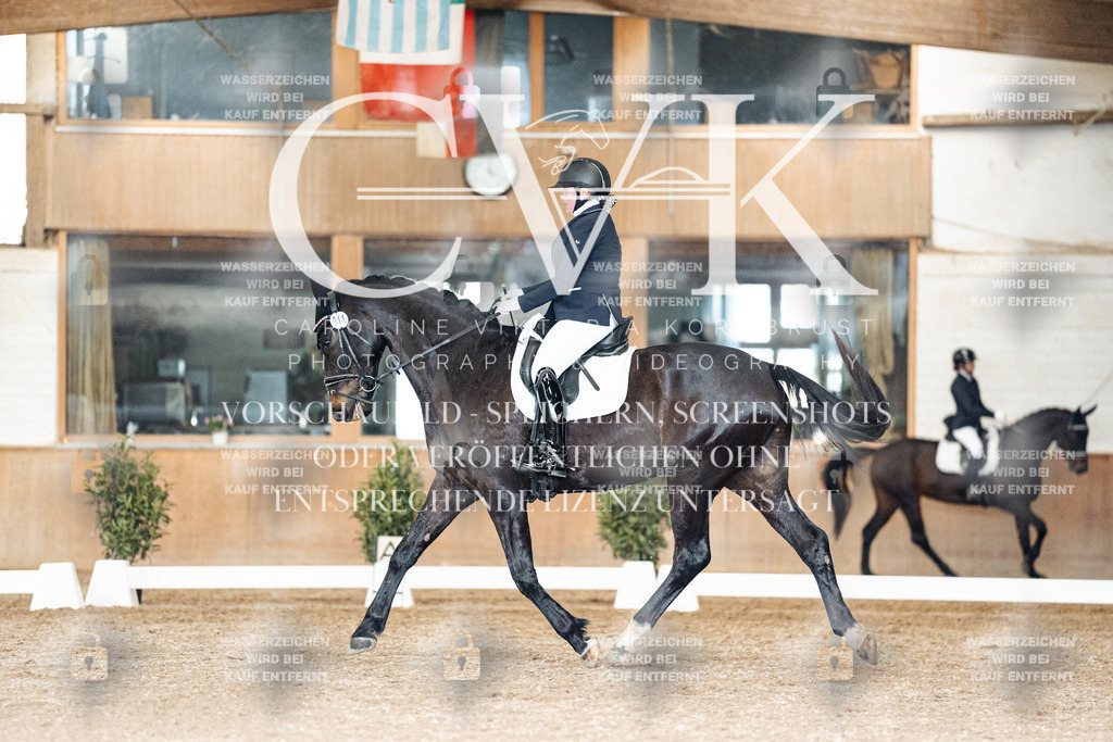 CK902264 | Turnierfotografie Pferdefotografie Trier Rheinland-Pfalz Pferdesport Reitsport Tierfotografie Sportfotografie Pferdevideo Pferdevideografie Equestrianvideography equestrianphotography  - Realisiert mit Pictrs.com