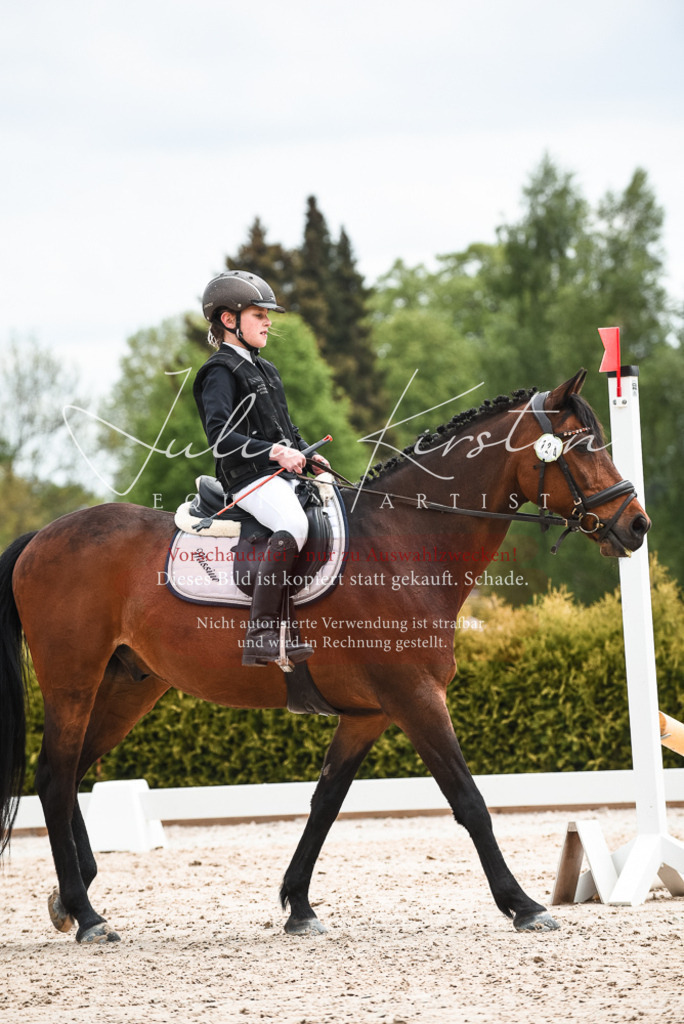 20230518_JK-Röhrsdorf-10-735 | Pferde- und Turnierfotografie in Westsachsen. Pferdeportraits, Auftragszeichnungen und intuitive Kunst.