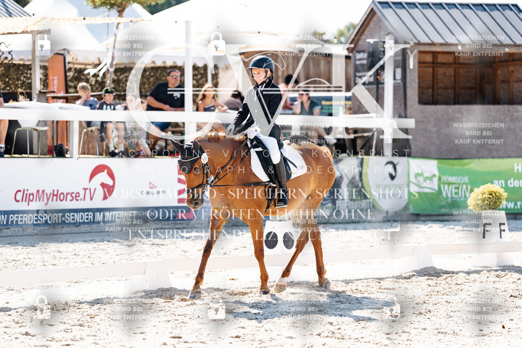 CK903001 | Turnierfotografie Pferdefotografie Trier Rheinland-Pfalz Pferdesport Reitsport Tierfotografie Sportfotografie Pferdevideo Pferdevideografie Equestrianvideography equestrianphotography  - Realisiert mit Pictrs.com