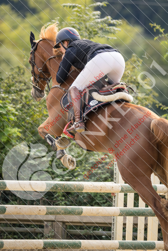 CON_6891 | Sport-, Event- und Tierfotos in Profiqualität. Einfach auswählen, bestellen und herunterladen. Dein Moment – perfekt festgehalten.