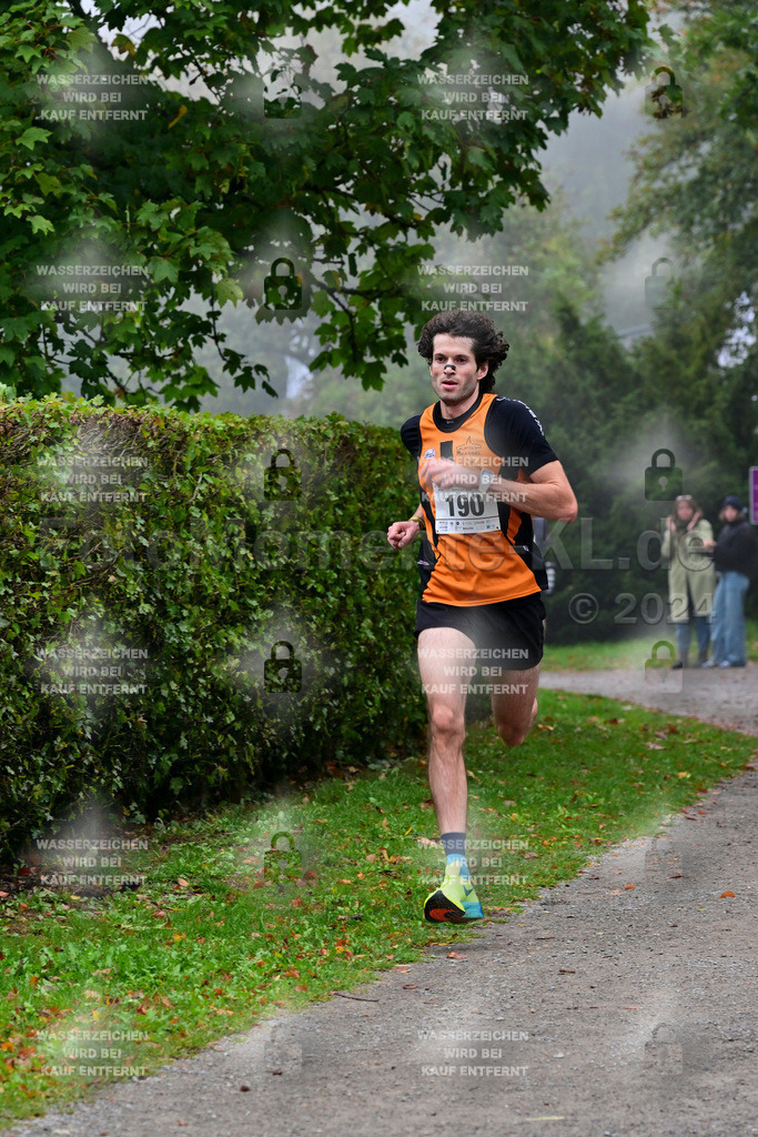 Z8N_1125 | la-psv - Realisiert mit Pictrs.com