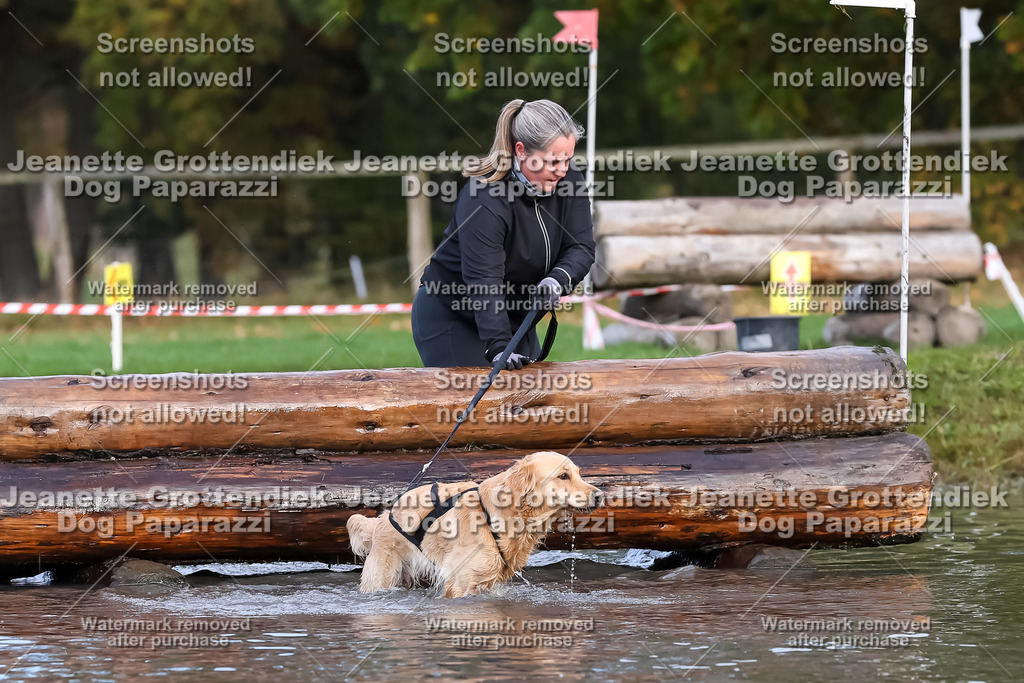 Dog Paparazzi - Strongdog 10-25-6954 | Dog Paparazzi Jeanette Grottendiek Fotografie & Videografie - Realisiert mit Pictrs.com