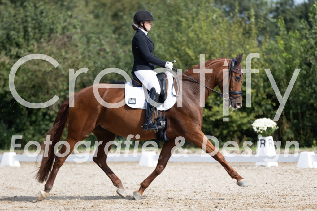 IMG_3415 | Creatify Fotografie