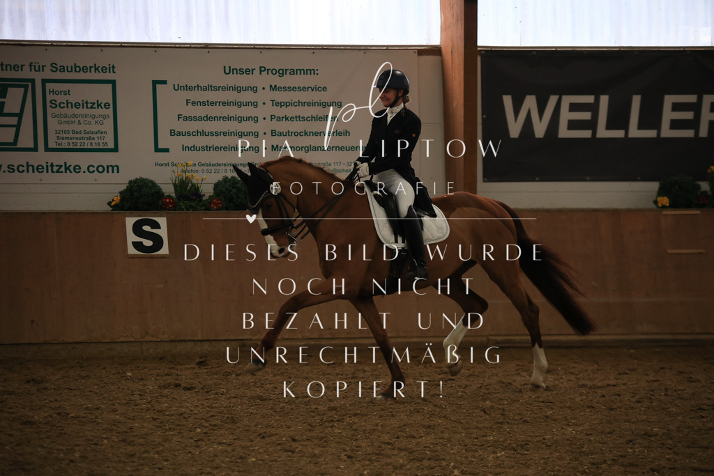 IMGT6018 | pl-fotografie