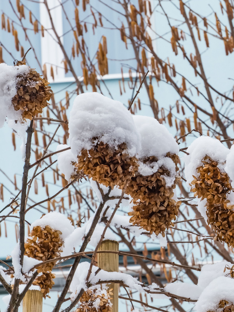 PSX_20230312_001026 | mtkfoto_ - Realisiert mit Pictrs.com